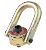 Hoist Rings